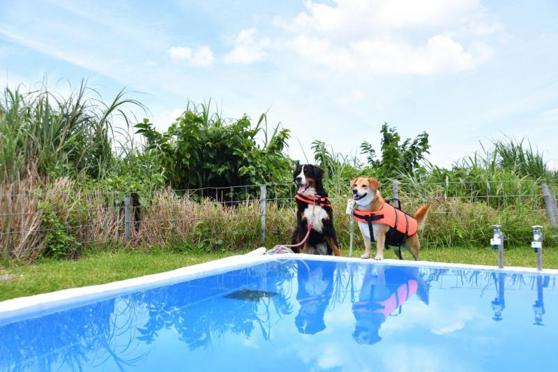 カフェ コテージ オーシャンブリーズ 今帰仁村スポット 泊る 一般社団法人今帰仁村観光協会 公式 ホームページ カフェ コテージ オーシャンブリーズ 今帰仁村スポット 泊る 一般社団法人今帰仁村観光協会 公式 ホームページ